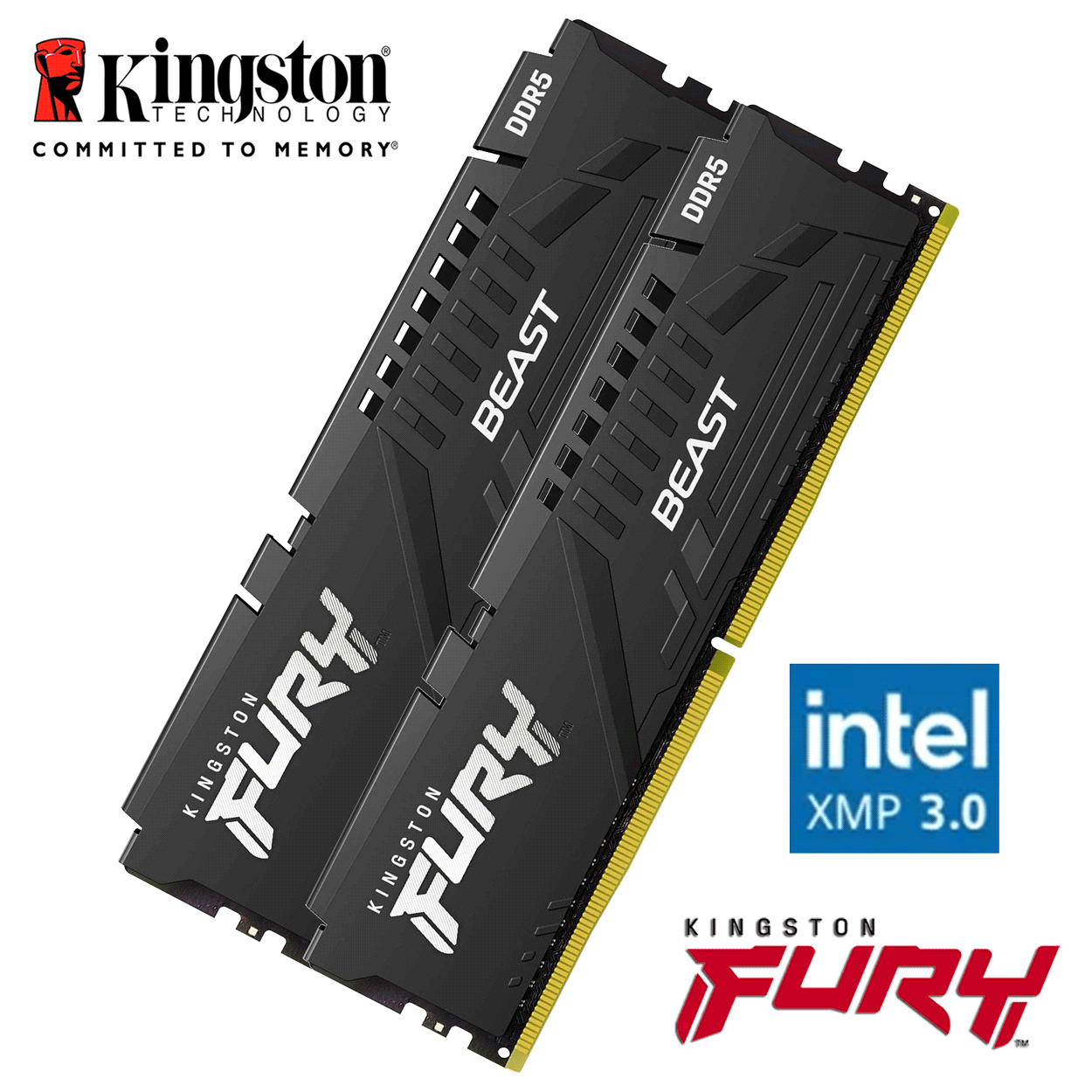 64GB Kingston FURY Beast DDR5-6000 DIMM CL40-40-40 (2x 32GB) Dual Kit of 2 schwarz