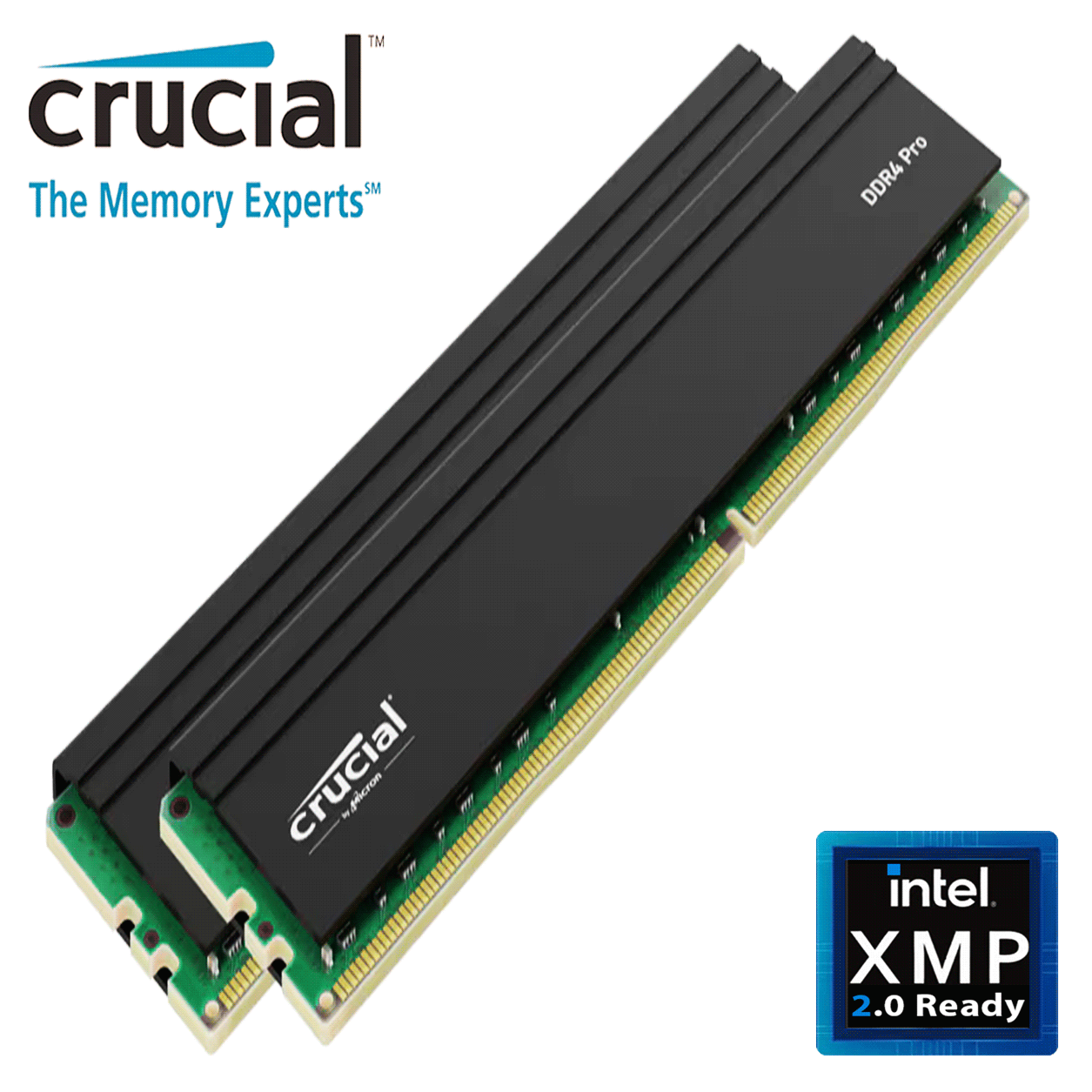 32GB Crucial Pro Edition CL22 DDR4-3200MHz Dual Kit schwarz