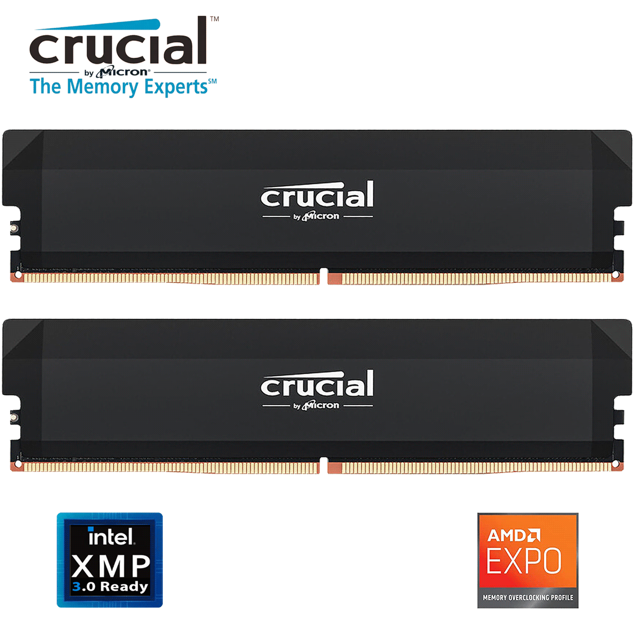 32GB Crucial Pro Overclocking Edition CL36 DDR5-6000MHz Dual Kit schwarz