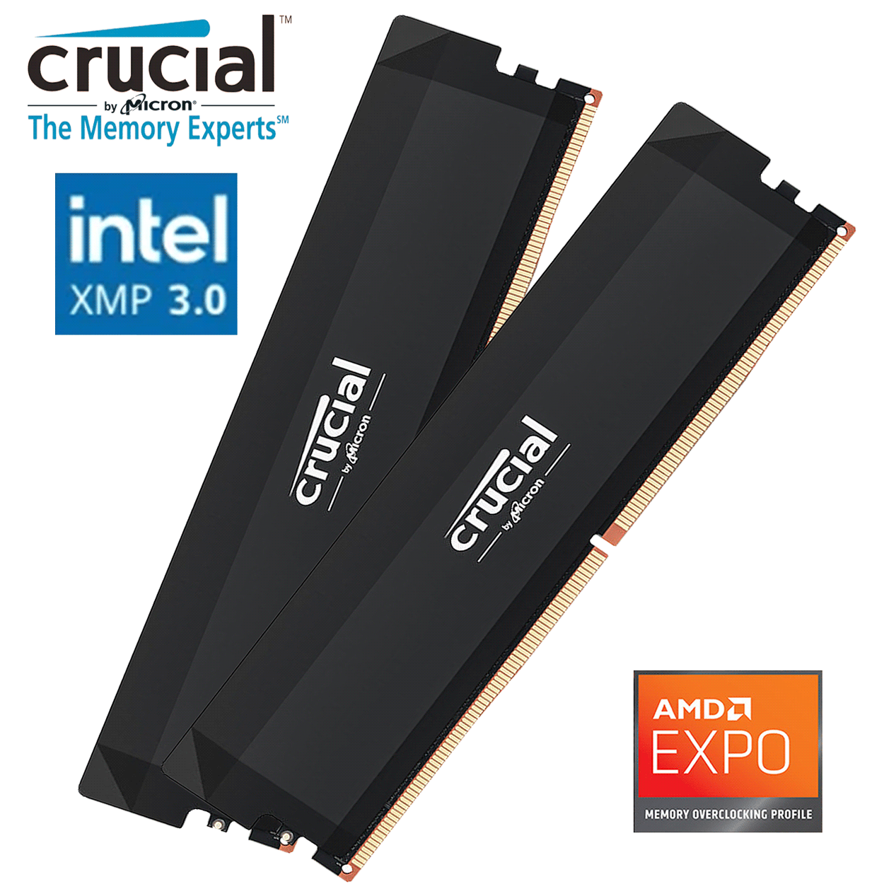 PC-Bundle - AMD Ryzen 7 7800X3D Tray - ASRock B650 Steel Legend WiFi - 16GB Lexar oder Kingston DDR5-6000 Dual Kit