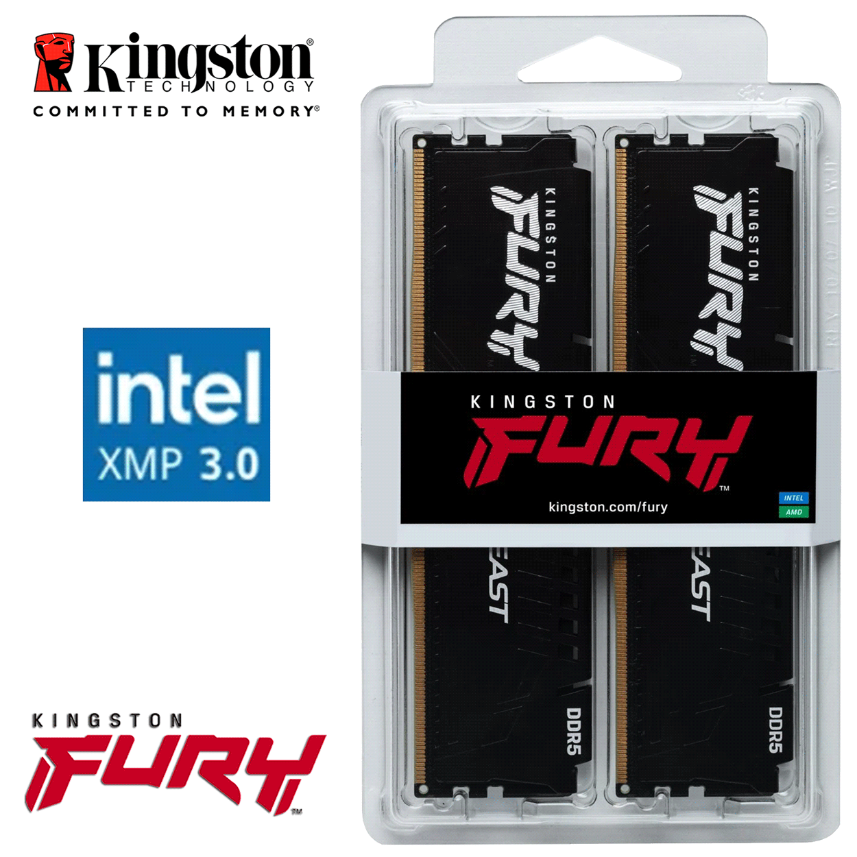 64GB Kingston FURY Beast DDR5-6000 DIMM CL40-40-40 (2x 32GB) Dual Kit of 2 schwarz