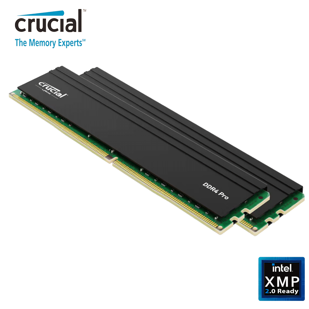 32GB Crucial Pro Edition CL22 DDR4-3200MHz Dual Kit schwarz