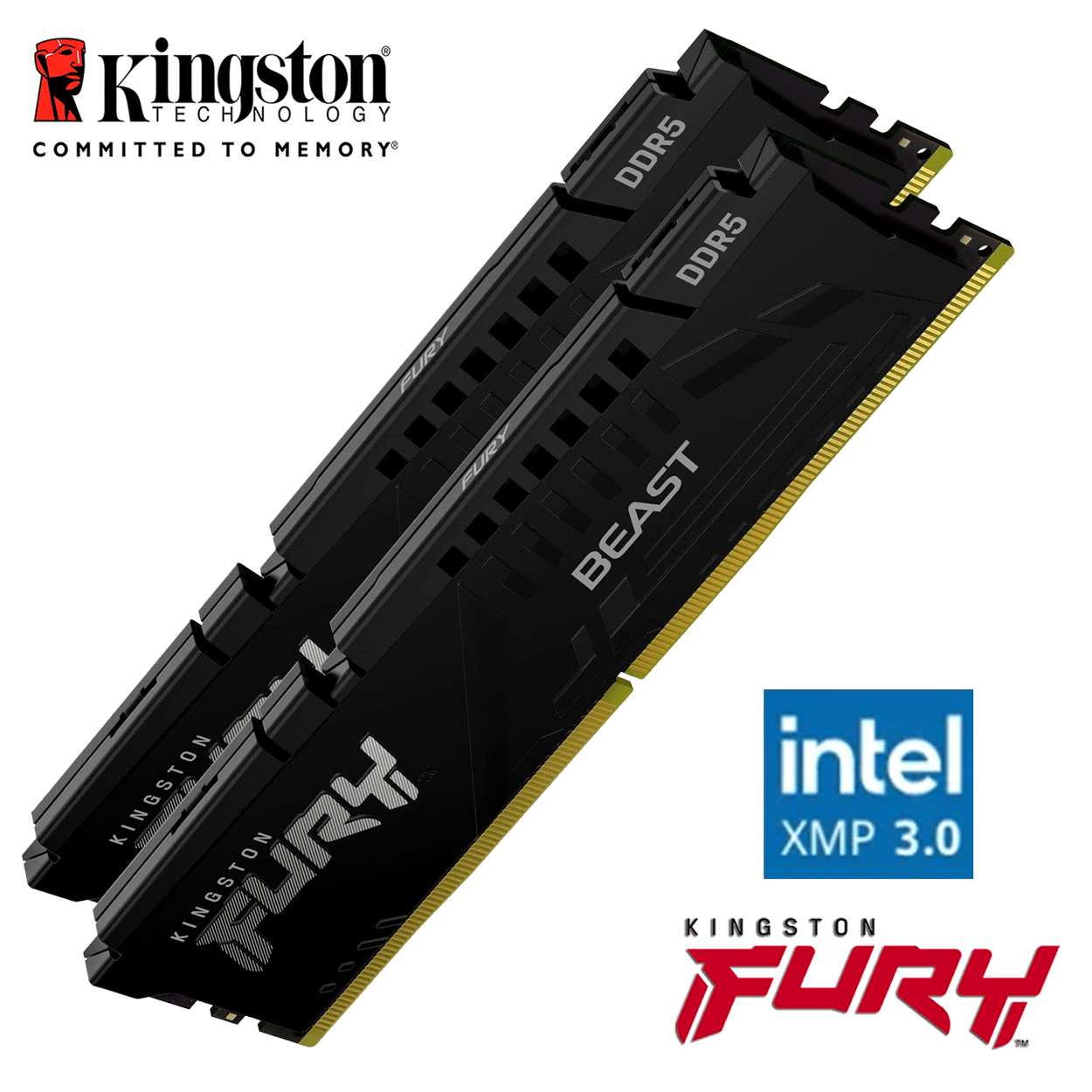64GB Kingston FURY Beast DDR5-6000 DIMM CL40-40-40 (2x 32GB) Dual Kit of 2 schwarz