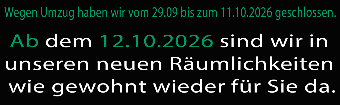 Umzug-IT-Service