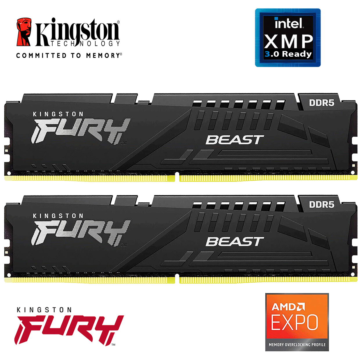 32GB Kingston FURY Beast EXPO DDR5-6000 DIMM CL36-38-38 (2x 16GB) Dual Kit of 2 schwarz