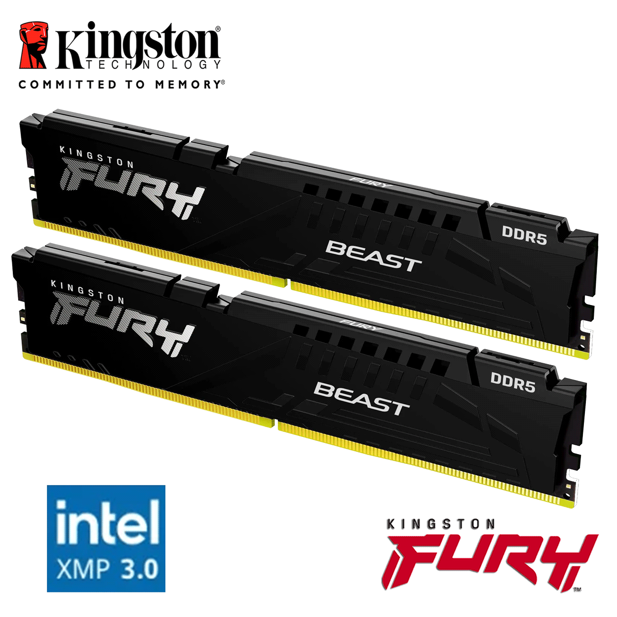 64GB Kingston FURY Beast DDR5-6000 DIMM CL40-40-40 (2x 32GB) Dual Kit of 2 schwarz