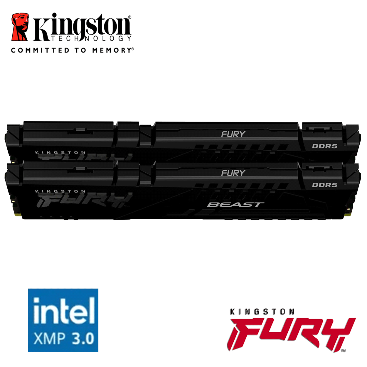 64GB Kingston FURY Beast DDR5-6000 DIMM CL40-40-40 (2x 32GB) Dual Kit of 2 schwarz