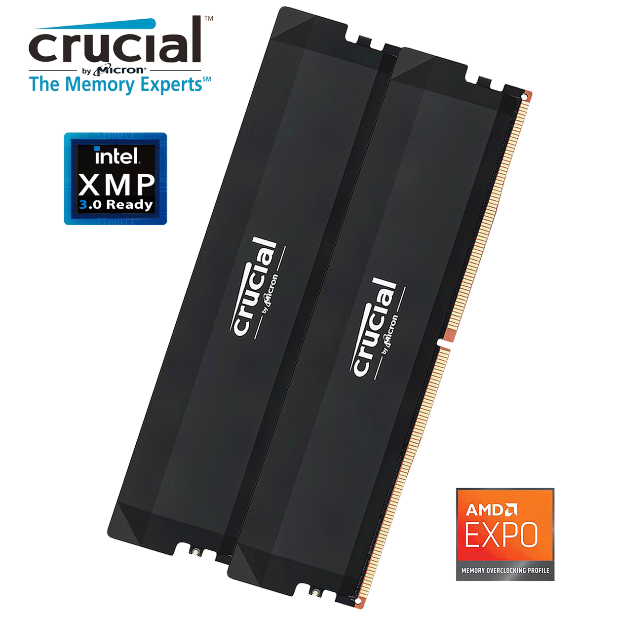 32GB Crucial Pro Overclocking Edition CL36 DDR5-6000MHz Dual Kit schwarz
