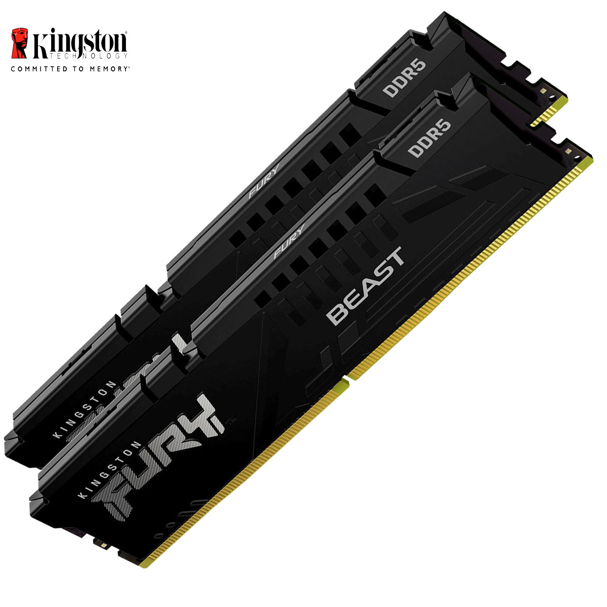 64GB Kingston FURY Beast DDR5-6000 DIMM CL40-40-40 (2x 32GB) Dual Kit of 2 schwarz