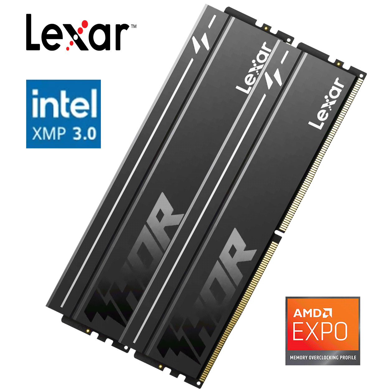 PC-Bundle - AMD Ryzen 7 7800X3D Tray - ASRock B650 Steel Legend WiFi - 16GB Lexar oder Kingston DDR5-6000 Dual Kit