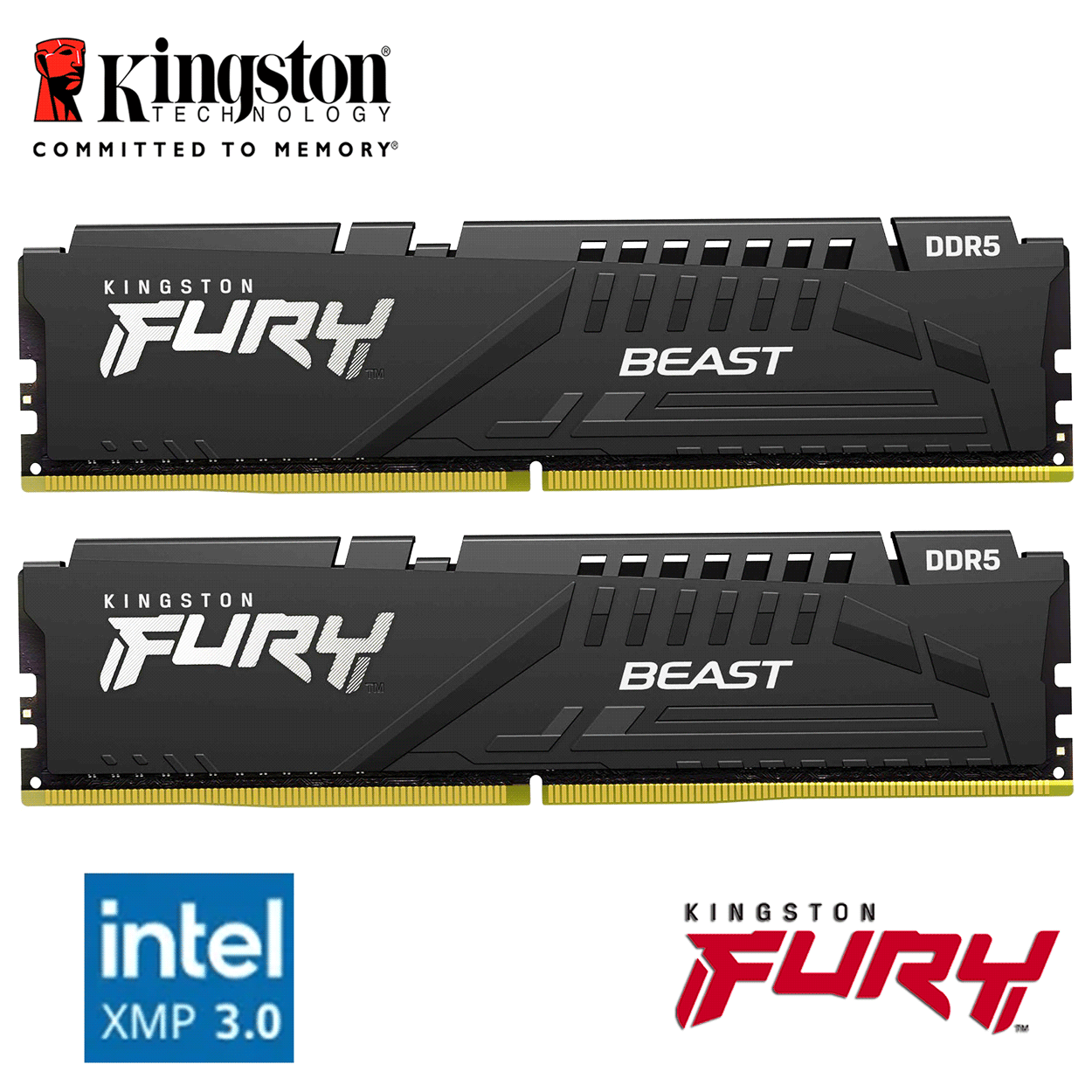 64GB Kingston FURY Beast DDR5-6000 DIMM CL40-40-40 (2x 32GB) Dual Kit of 2 schwarz