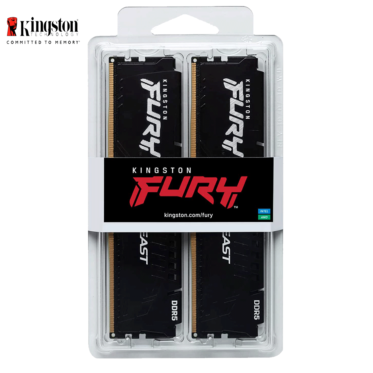 64GB Kingston FURY Beast DDR5-6000 DIMM CL40-40-40 (2x 32GB) Dual Kit of 2 schwarz