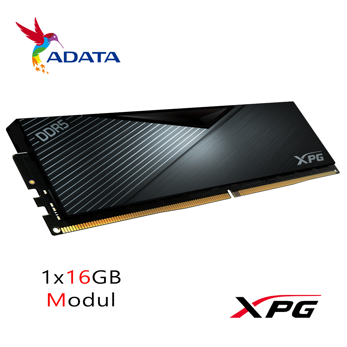 16GB ADATA XPG LANCER BLACK DDR5-6000 DIMM CL 40 Single Modul schwarz
