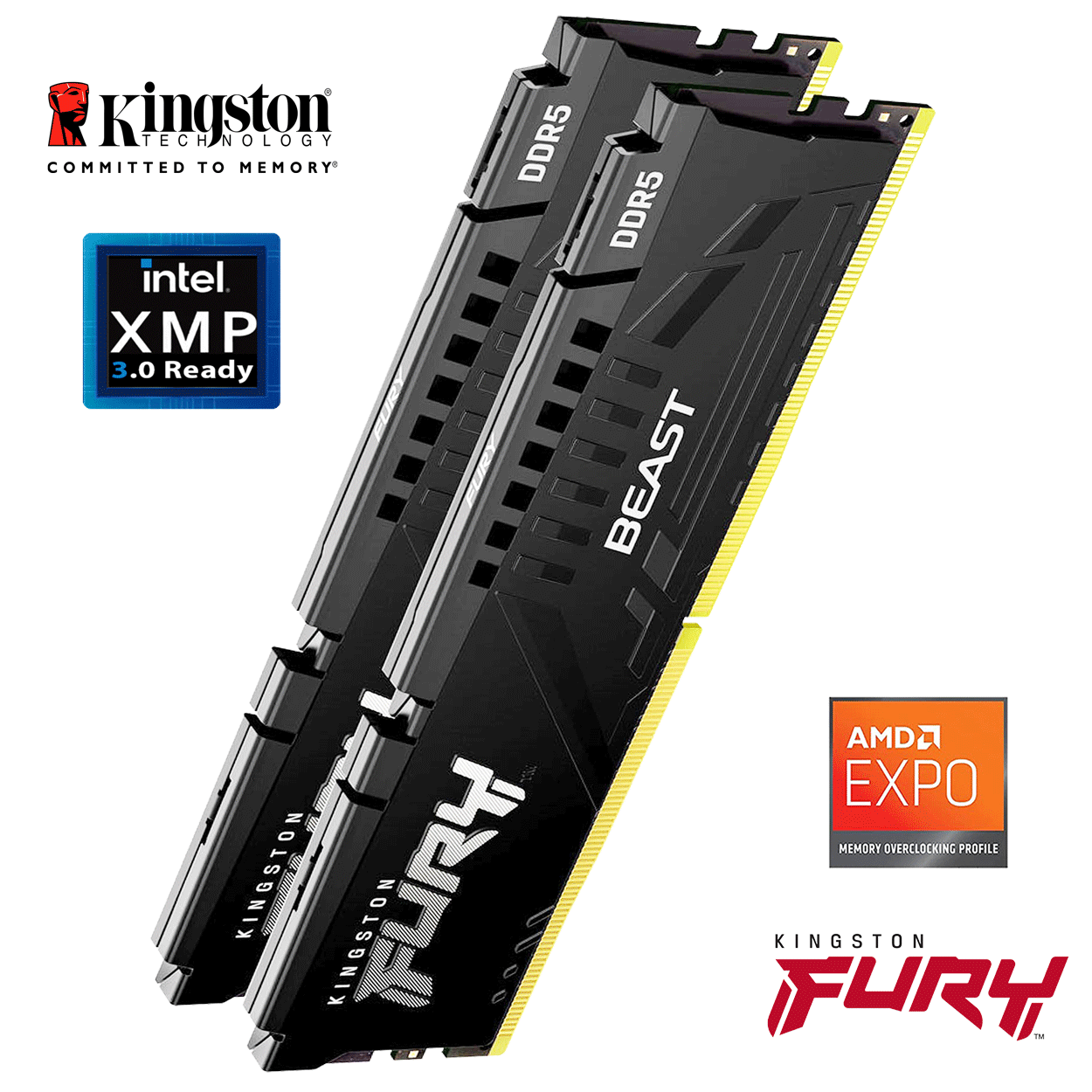 32GB Kingston FURY Beast EXPO DDR5-6000 DIMM CL36-38-38 (2x 16GB) Dual Kit of 2 schwarz