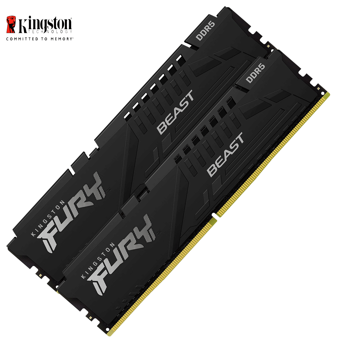 64GB Kingston FURY Beast DDR5-6000 DIMM CL40-40-40 (2x 32GB) Dual Kit of 2 schwarz