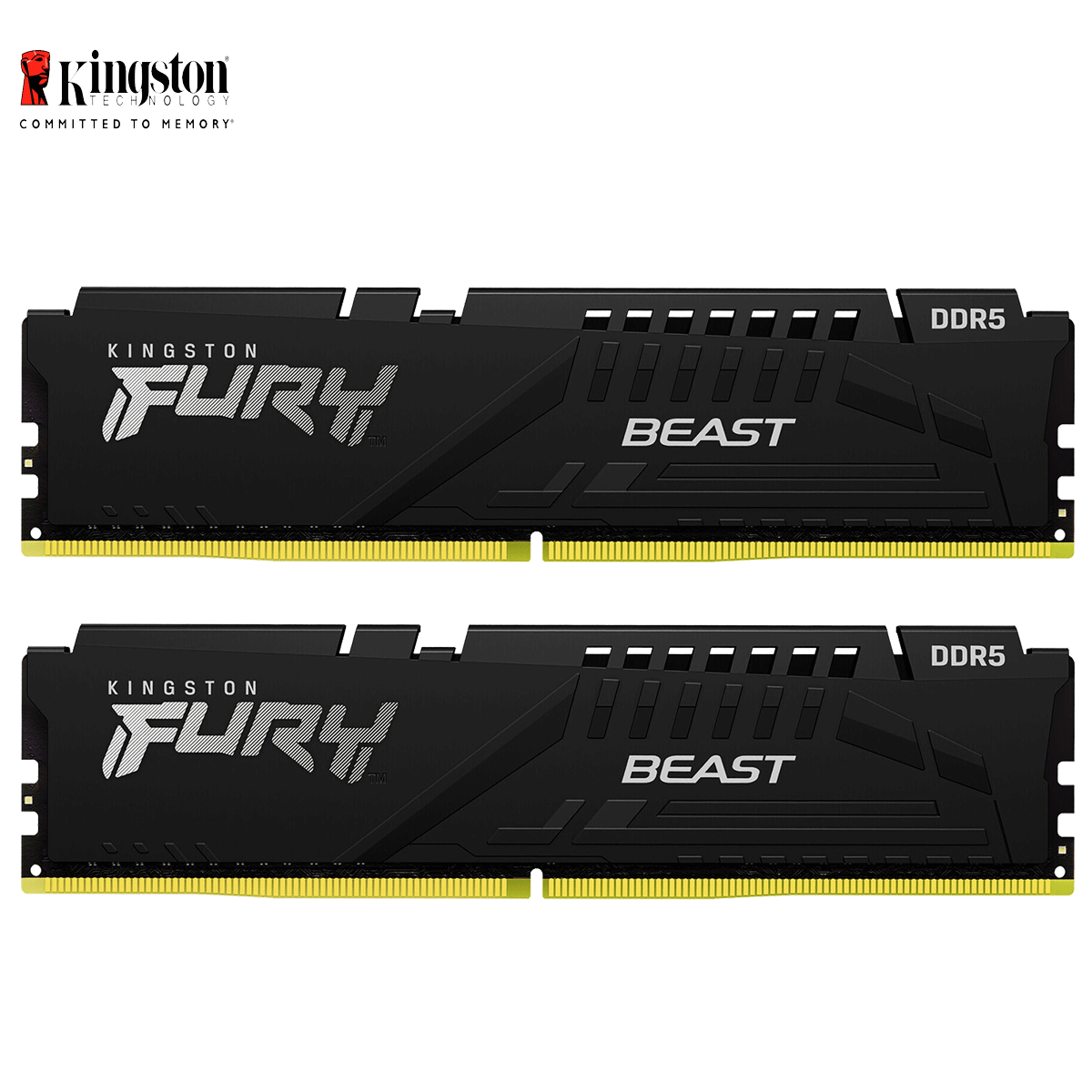 64GB Kingston FURY Beast DDR5-6000 DIMM CL40-40-40 (2x 32GB) Dual Kit of 2 schwarz