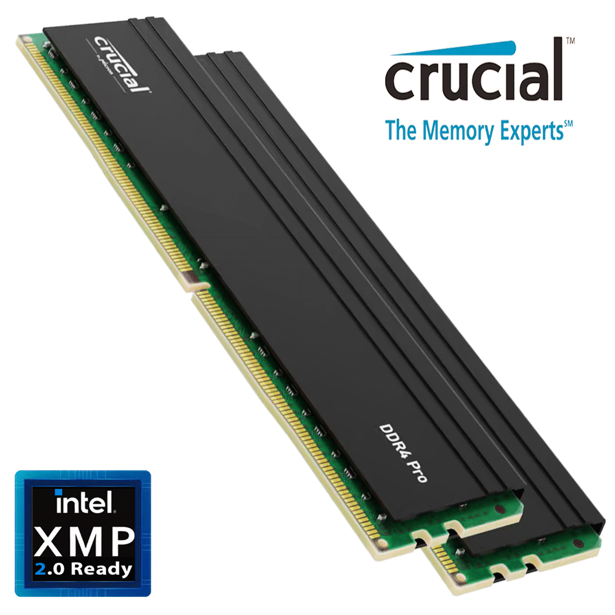 32GB Crucial Pro Edition CL22 DDR4-3200MHz Dual Kit schwarz