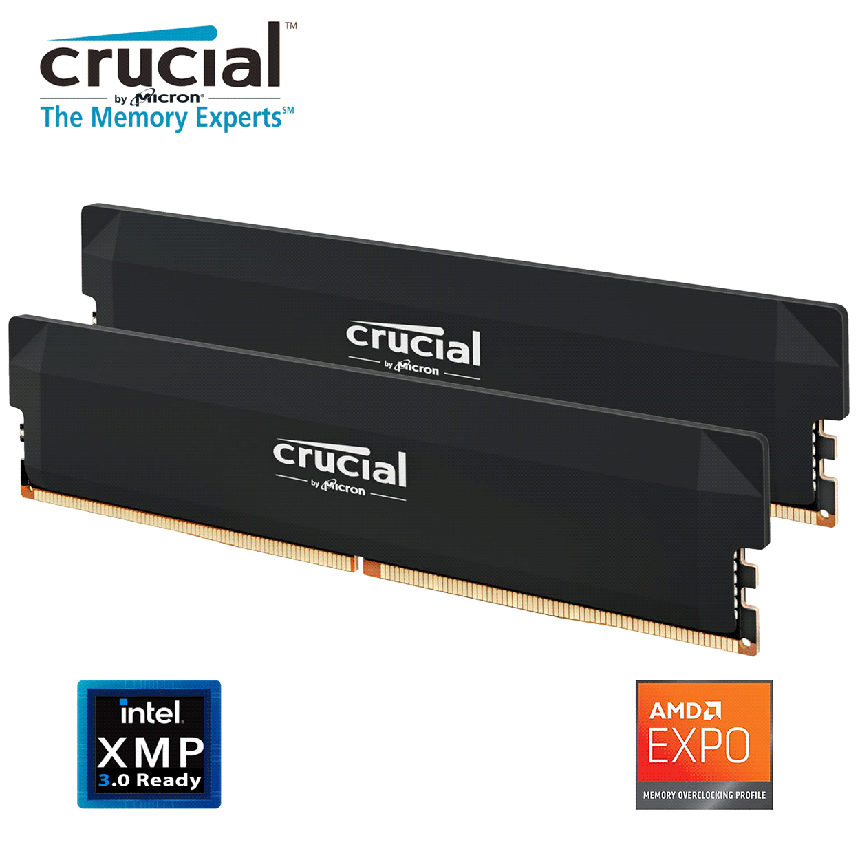 32GB Crucial Pro Overclocking Edition CL36 DDR5-6000MHz Dual Kit schwarz