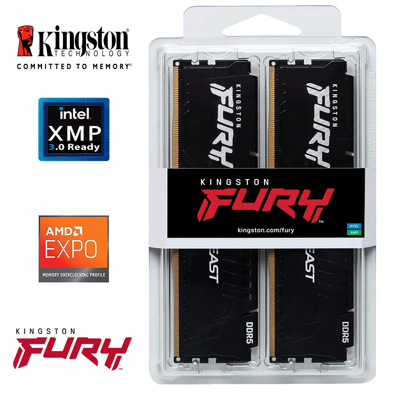 32GB Kingston FURY Beast EXPO DDR5-6000 DIMM CL36-38-38 (2x 16GB) Dual Kit of 2 schwarz