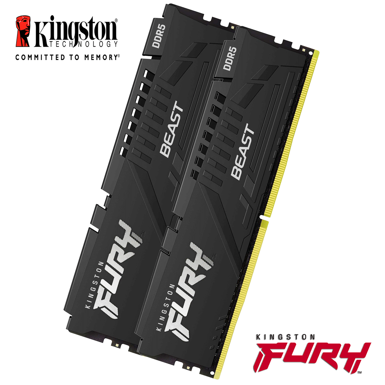 16GB Kingston FURY Beast DDR5-6000 DIMM CL40-40-40 (2x 8GB) Dual Kit of 2 schwarz