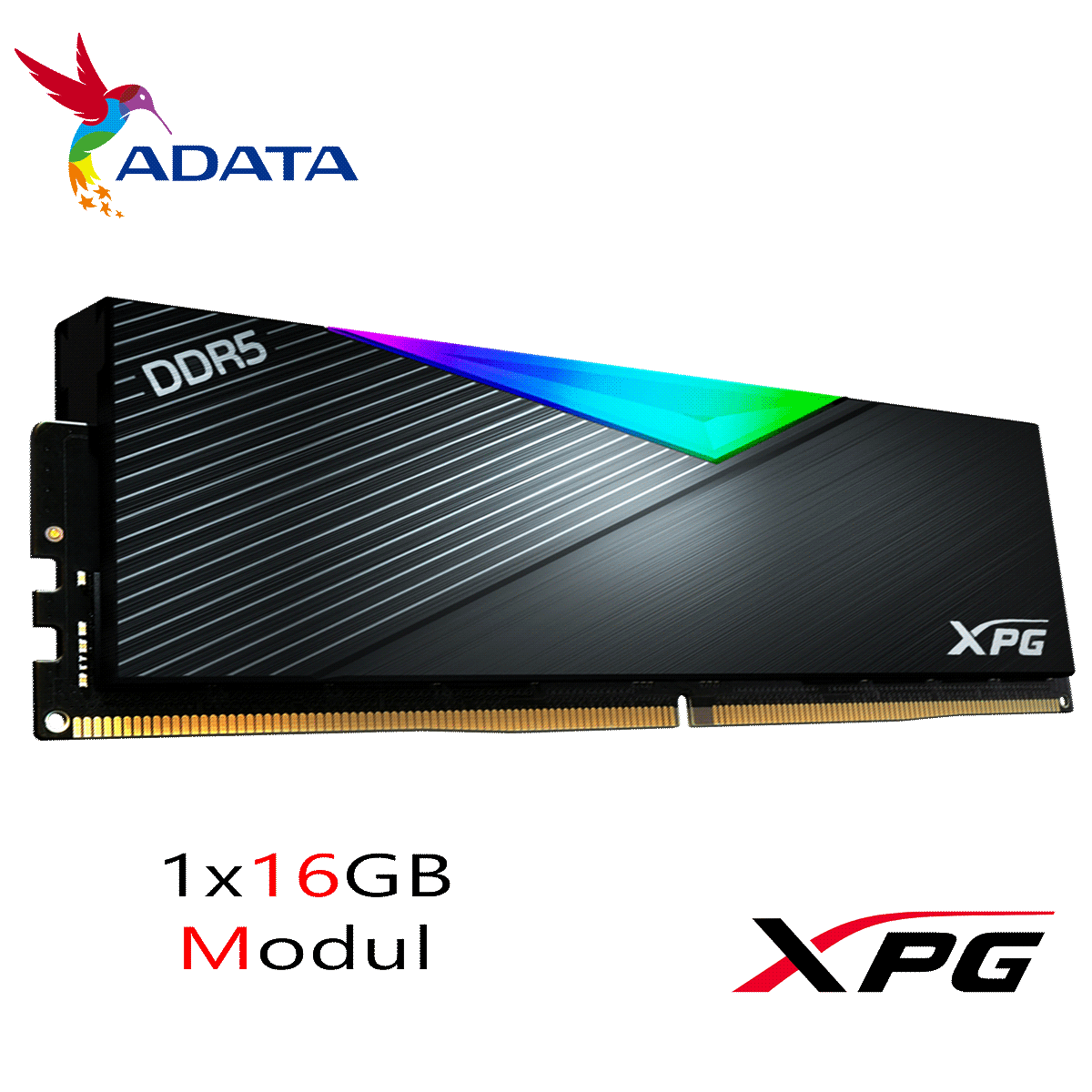 16GB ADATA XPG LANCER RGB DDR5-5200 DIMM CL 38 Single Modul schwarz 16GB ADATA XPG LANCER RGB DDR5-5200 DIMM CL 38 Single Modul schwarz