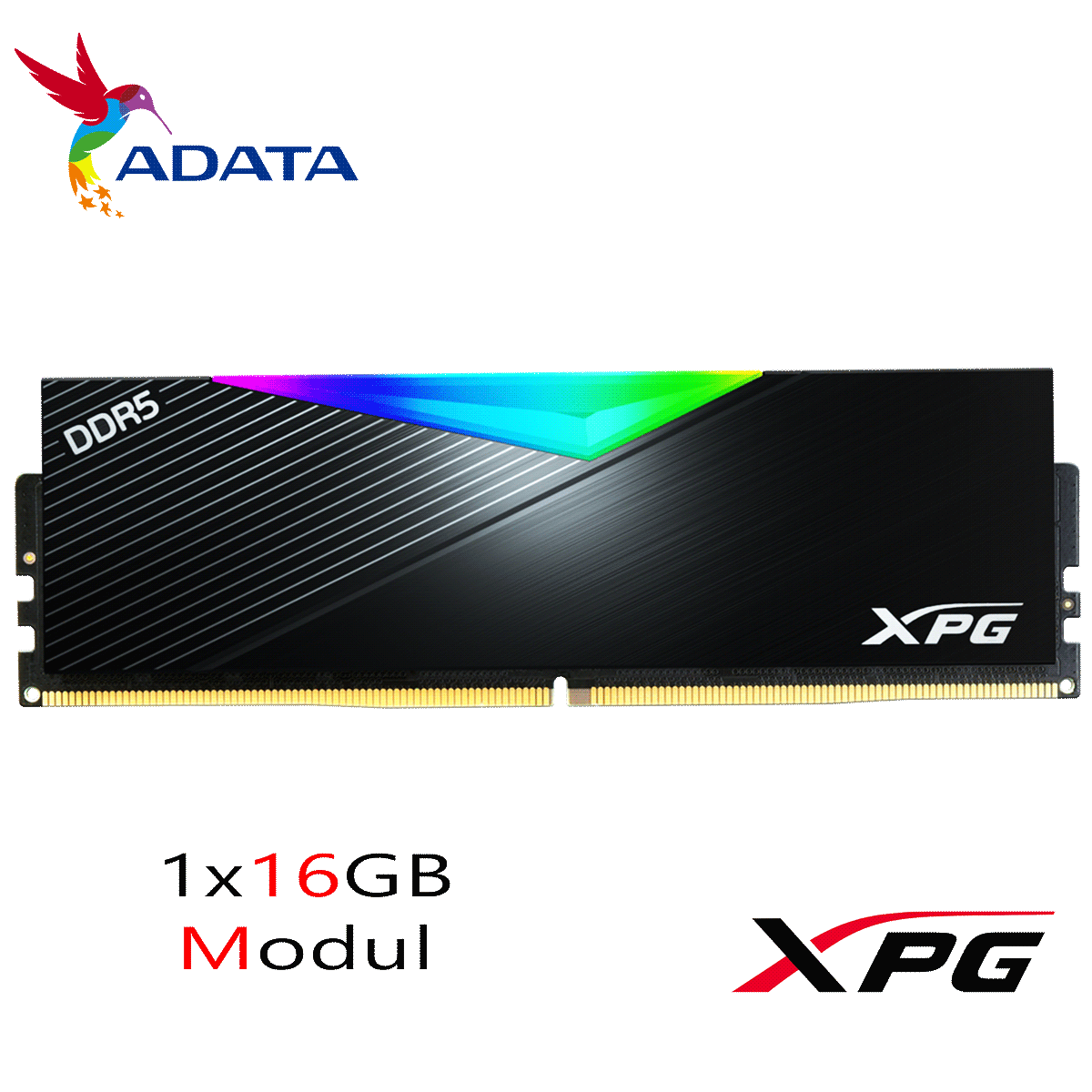 16GB ADATA XPG LANCER RGB DDR5-6000 DIMM CL 38 Single Modul schwarz