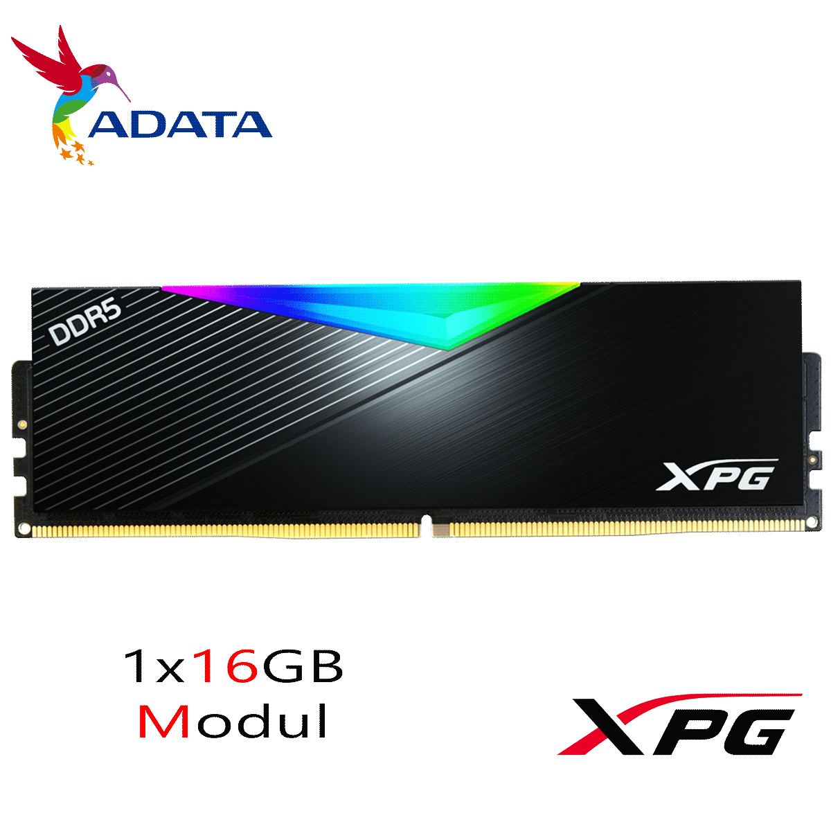 16GB ADATA XPG LANCER RGB DDR5-5200 DIMM CL 38 Single Modul schwarz 16GB ADATA XPG LANCER RGB DDR5-5200 DIMM CL 38 Single Modul schwarz