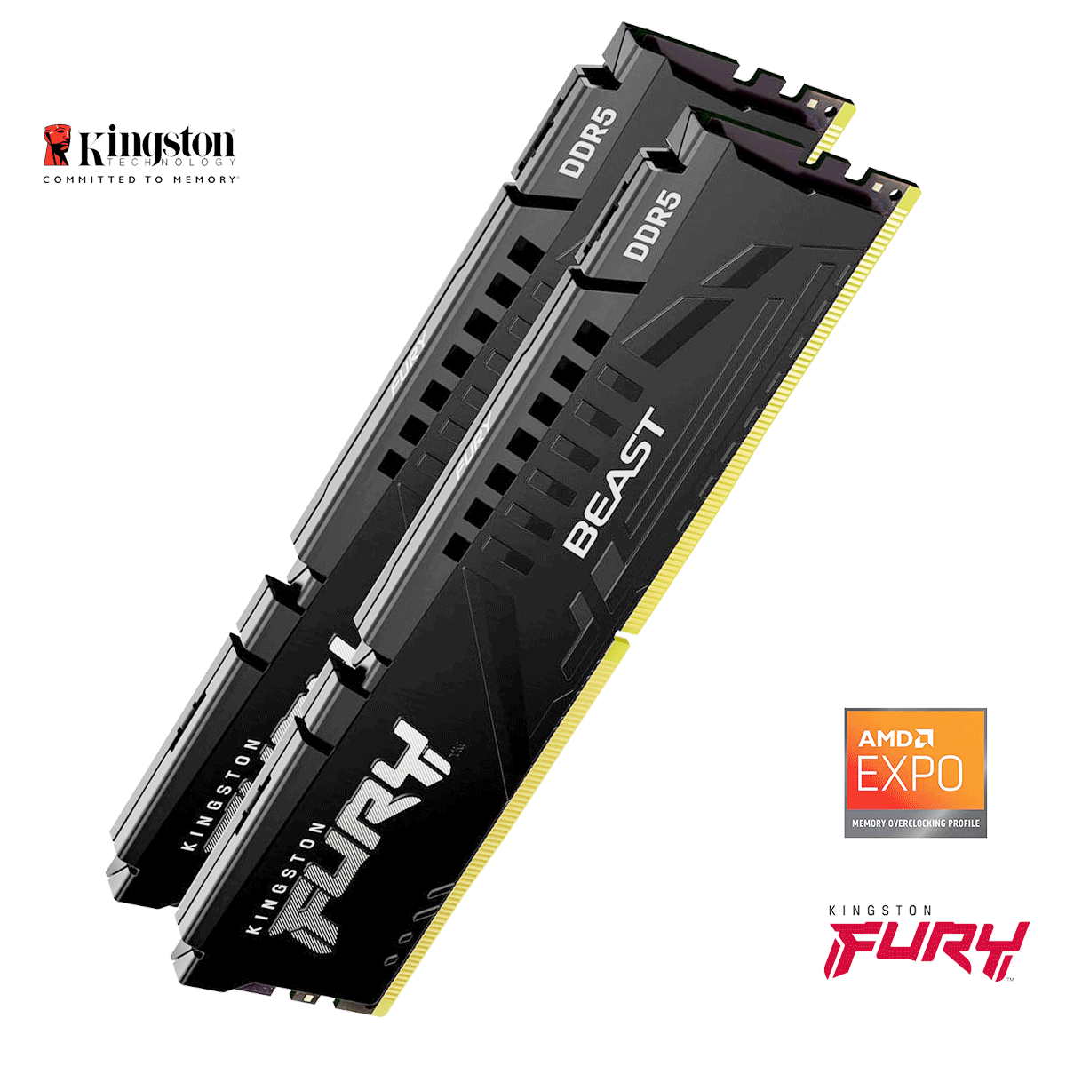 16GB Kingston FURY Beast EXPO DDR5-6000 DIMM CL36-38-38 (2x 8GB) Dual Kit of 2 schwarz