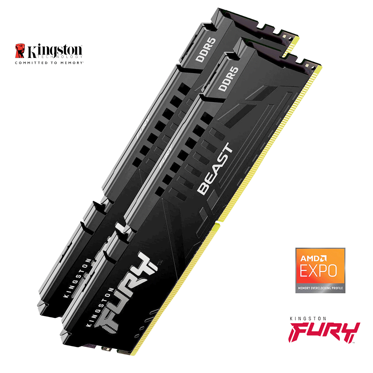 16GB Kingston FURY Beast EXPO DDR5-6000 DIMM CL36-38-38 (2x 8GB) Dual Kit of 2 schwarz 16GB Kingston FURY Beast EXPO DDR5-6000 DIMM CL36-38-38 (2x 8GB) Dual Kit of 2 schwarz