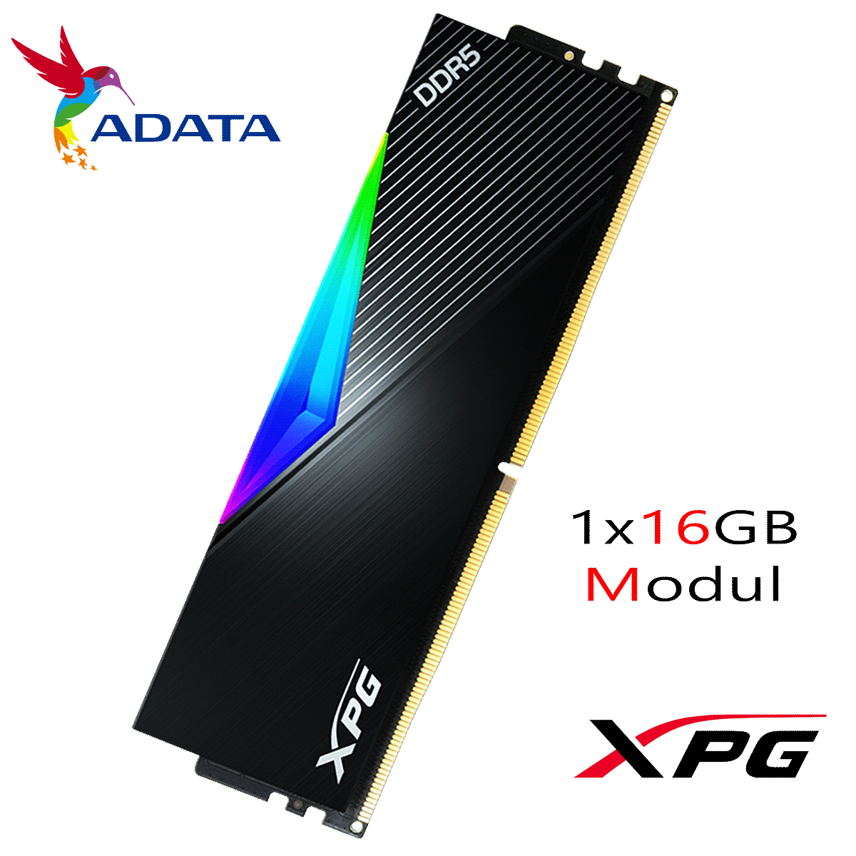 16GB ADATA XPG LANCER RGB DDR5-5200 DIMM CL 38 Single Modul schwarz 16GB ADATA XPG LANCER RGB DDR5-5200 DIMM CL 38 Single Modul schwarz