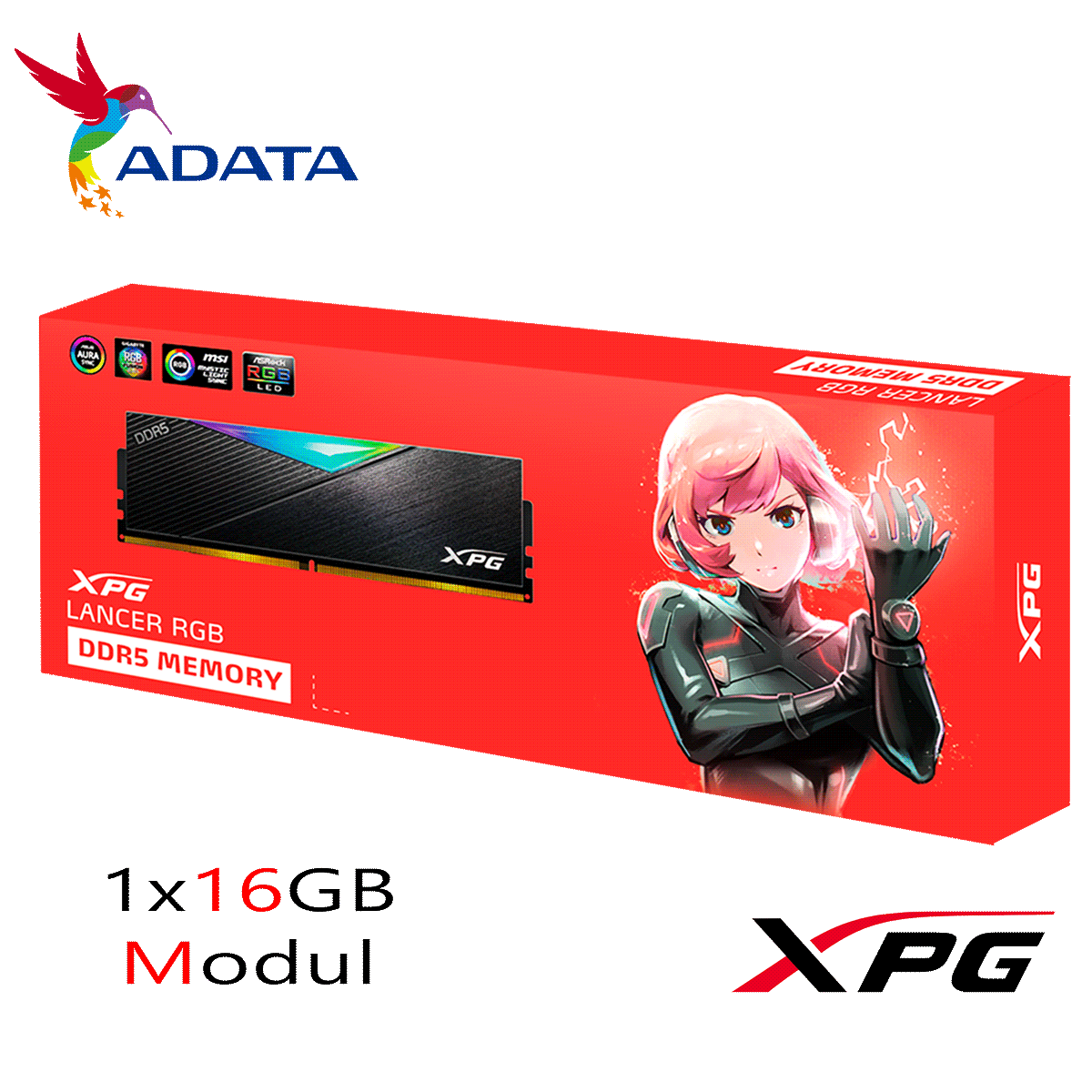 16GB ADATA XPG LANCER RGB DDR5-5200 DIMM CL 38 Single Modul schwarz 16GB ADATA XPG LANCER RGB DDR5-5200 DIMM CL 38 Single Modul schwarz