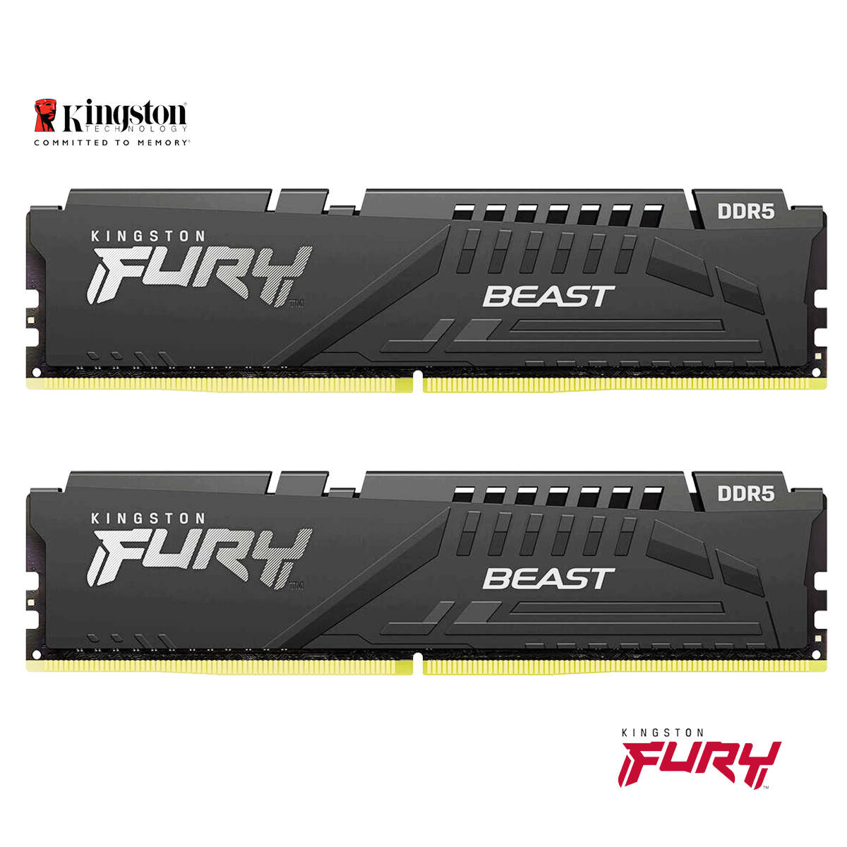 16GB Kingston FURY Beast DDR5-5200 DIMM CL40 (2x 8GB Module) Dual Kit of 2 schwarz 