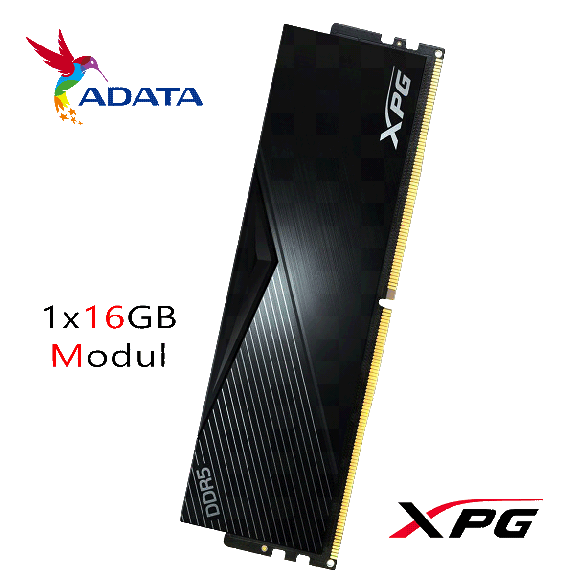 16GB ADATA XPG LANCER BLACK DDR5-5200 DIMM CL 38 Single Modul schwarz