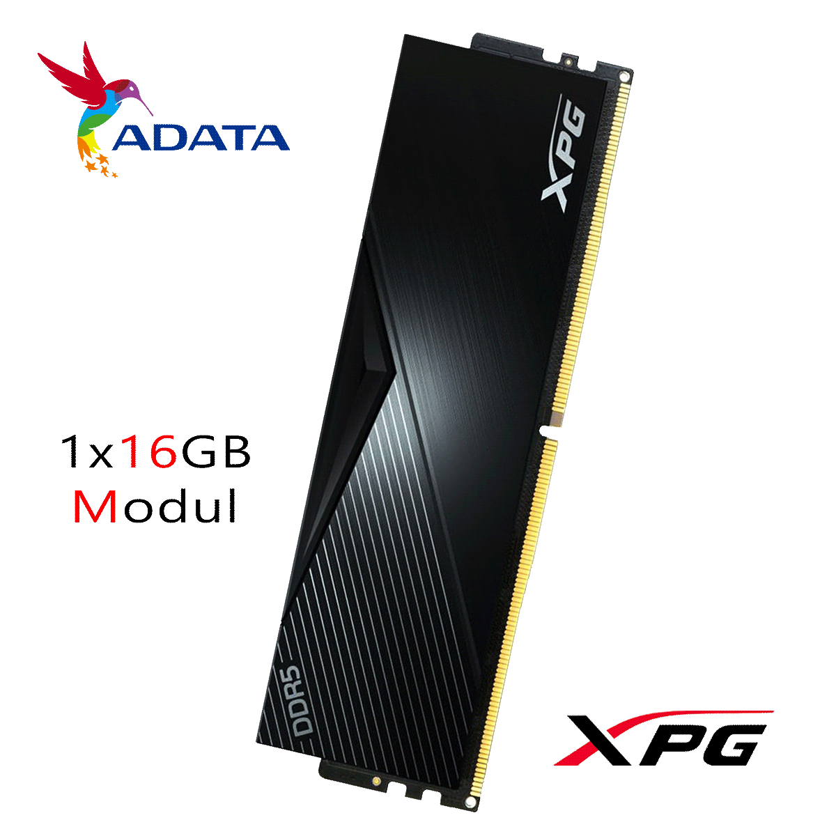 16GB ADATA XPG LANCER BLACK DDR5-6000 DIMM CL 40 Single Modul schwarz 16GB ADATA XPG LANCER BLACK DDR5-6000 DIMM CL 40 Single Modul schwarz