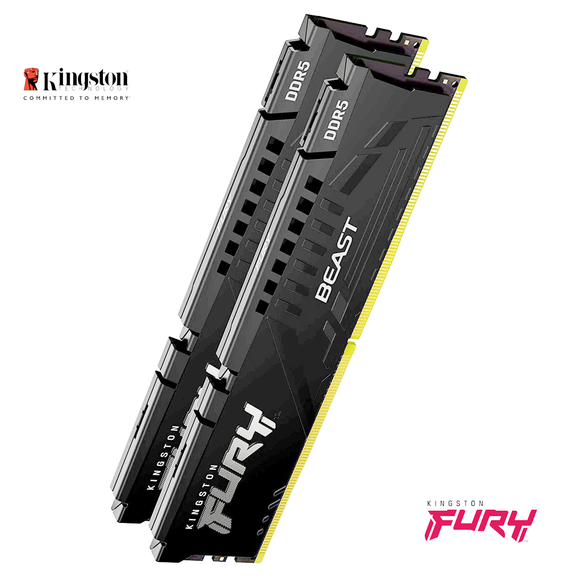 16GB Kingston FURY Beast DDR5-5200 DIMM CL40 (2x 8GB Module) Dual Kit of 2 schwarz 