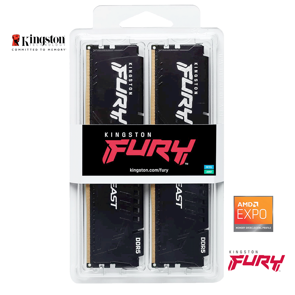 16GB Kingston FURY Beast EXPO DDR5-6000 DIMM CL36-38-38 (2x 8GB) Dual Kit of 2 schwarz