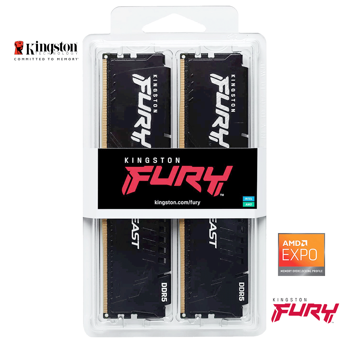 16GB Kingston FURY Beast EXPO DDR5-6000 DIMM CL36-38-38 (2x 8GB) Dual Kit of 2 schwarz 16GB Kingston FURY Beast EXPO DDR5-6000 DIMM CL36-38-38 (2x 8GB) Dual Kit of 2 schwarz