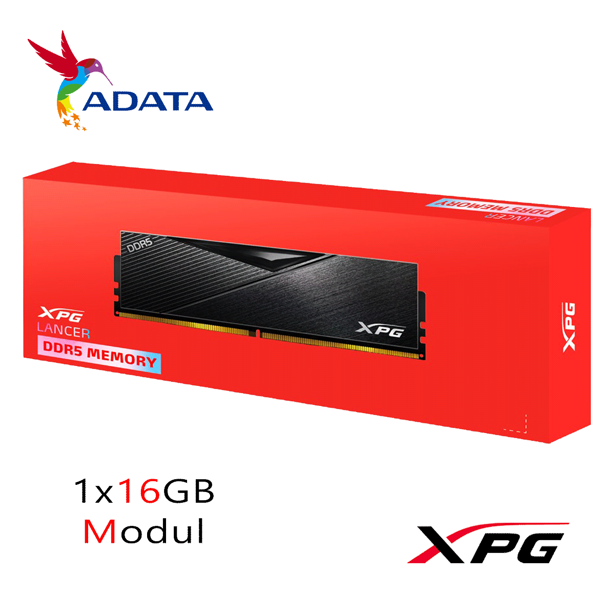 16GB ADATA XPG LANCER BLACK DDR5-5200 DIMM CL 38 Single Modul schwarz