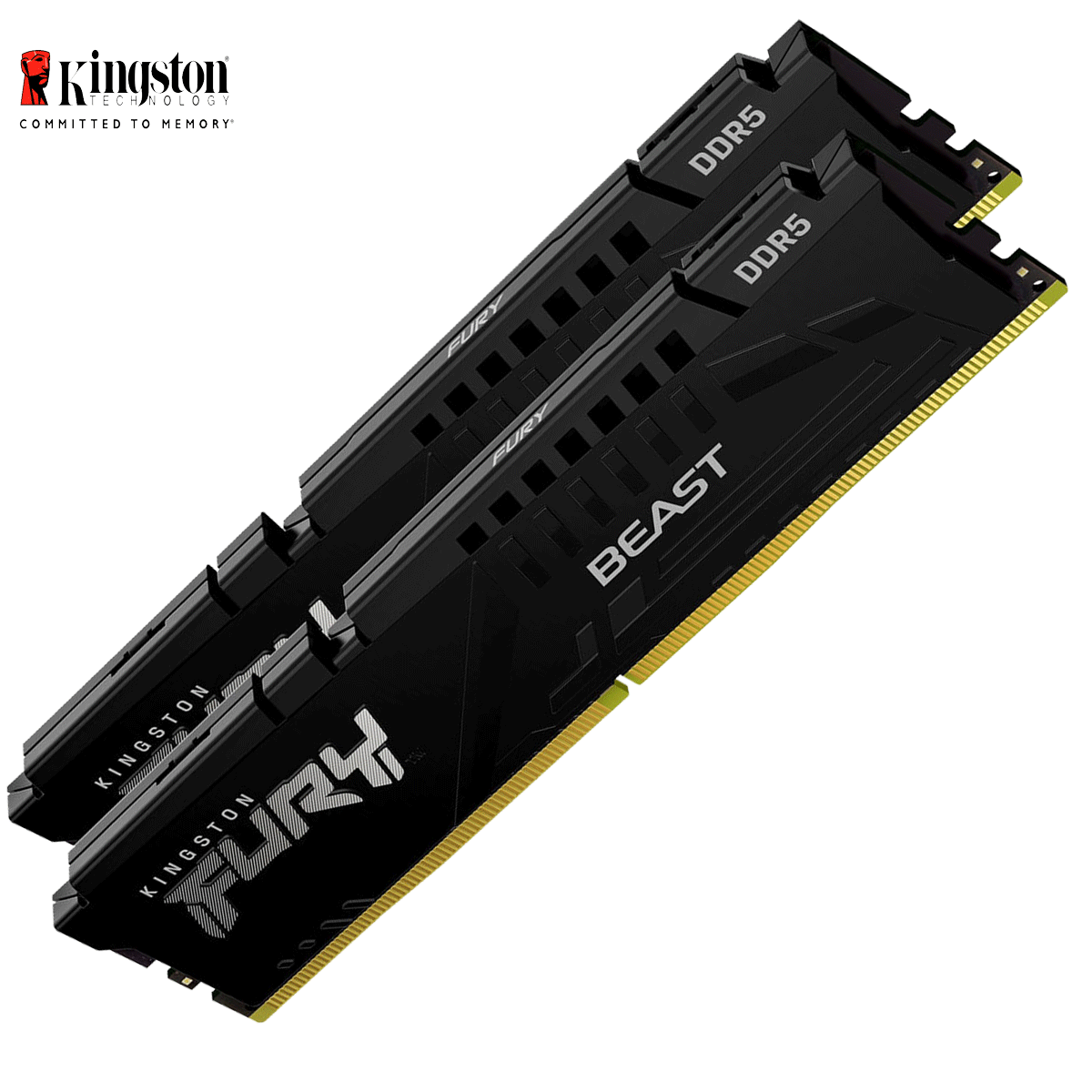 16GB Kingston FURY Beast DDR5-6000 DIMM CL40-40-40 (2x 8GB) Dual Kit of 2 schwarz