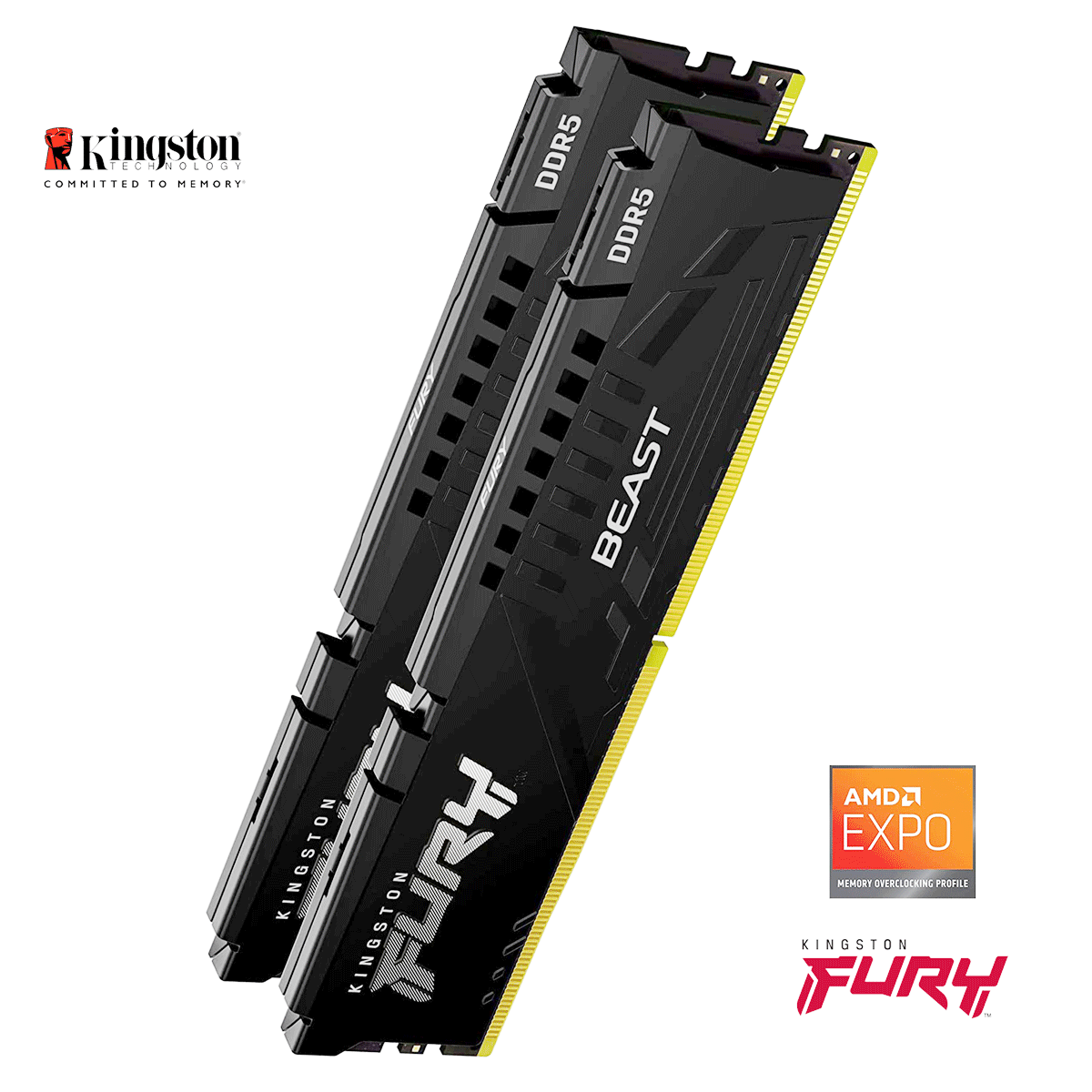 16GB Kingston FURY Beast EXPO DDR5-6000 DIMM CL36-38-38 (2x 8GB) Dual Kit of 2 schwarz