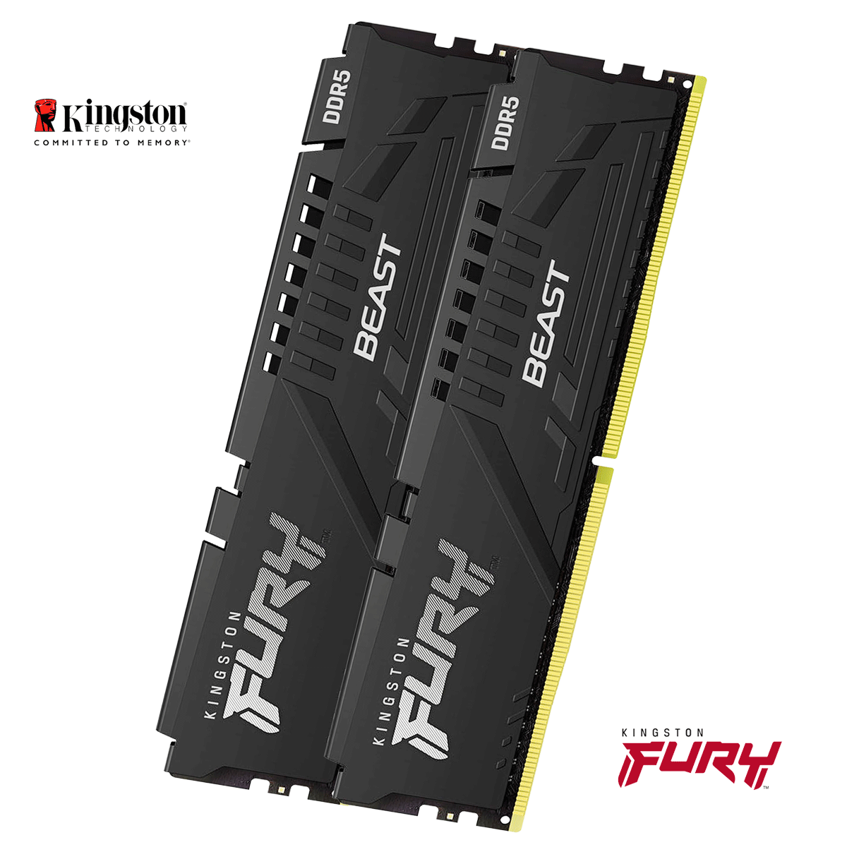 16GB Kingston FURY Beast DDR5-5200 DIMM CL40 (2x 8GB Module) Dual Kit of 2 schwarz 