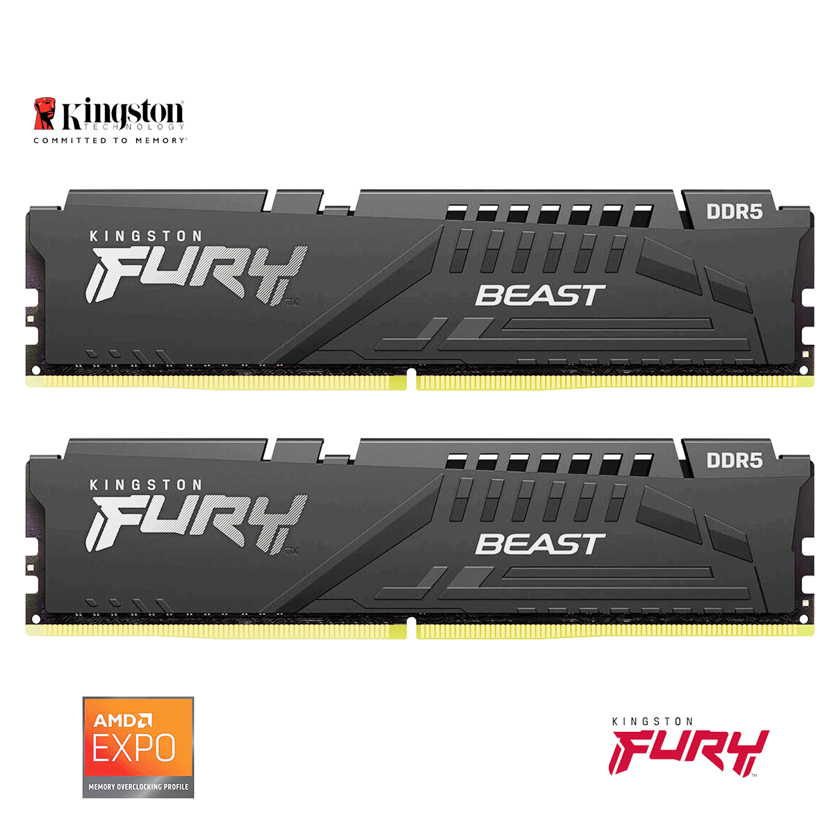 16GB Kingston FURY Beast EXPO DDR5-6000 DIMM CL36-38-38 (2x 8GB) Dual Kit of 2 schwarz