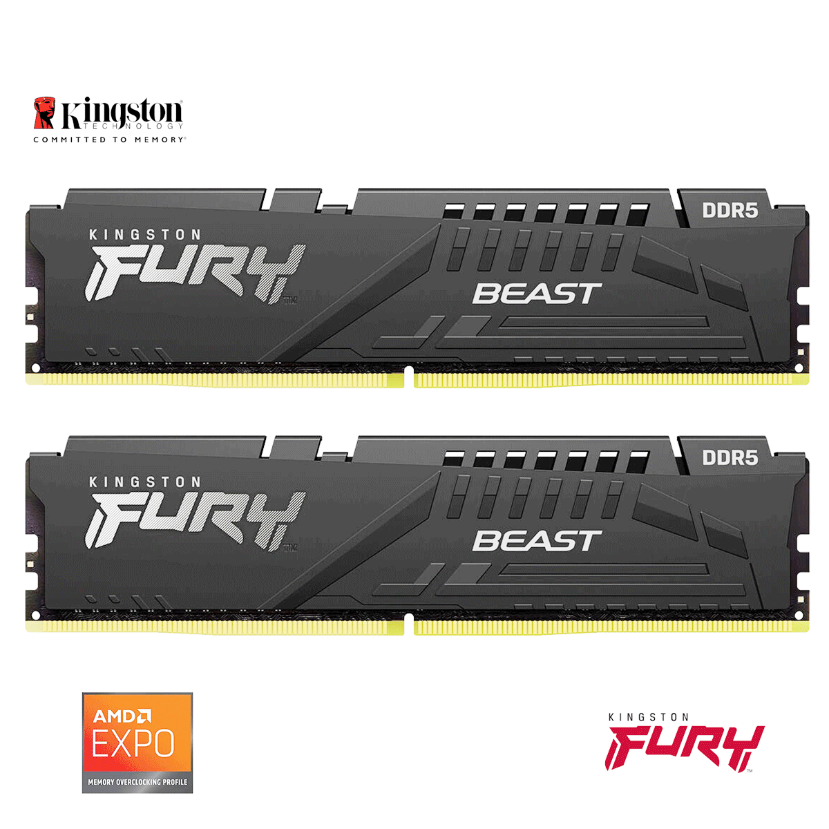 16GB Kingston FURY Beast EXPO DDR5-6000 DIMM CL36-38-38 (2x 8GB) Dual Kit of 2 schwarz 16GB Kingston FURY Beast EXPO DDR5-6000 DIMM CL36-38-38 (2x 8GB) Dual Kit of 2 schwarz