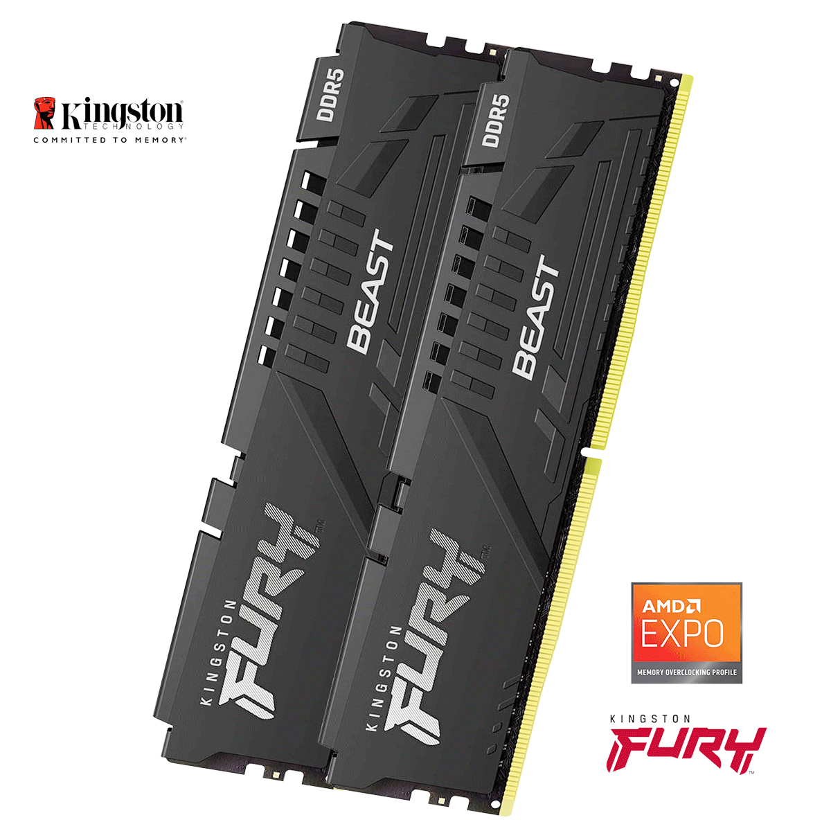 16GB Kingston FURY Beast EXPO DDR5-6000 DIMM CL36-38-38 (2x 8GB) Dual Kit of 2 schwarz