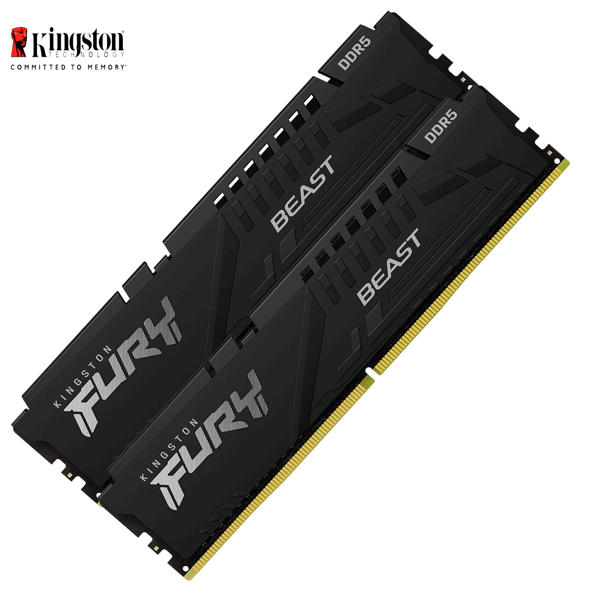 16GB Kingston FURY Beast DDR5-6000 DIMM CL40-40-40 (2x 8GB) Dual Kit of 2 schwarz